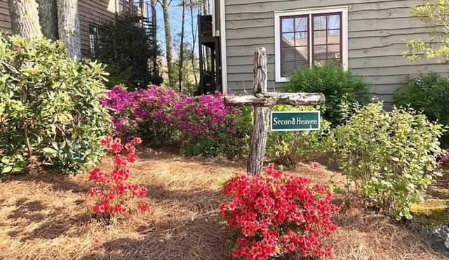 Mountain walk-in level condo!