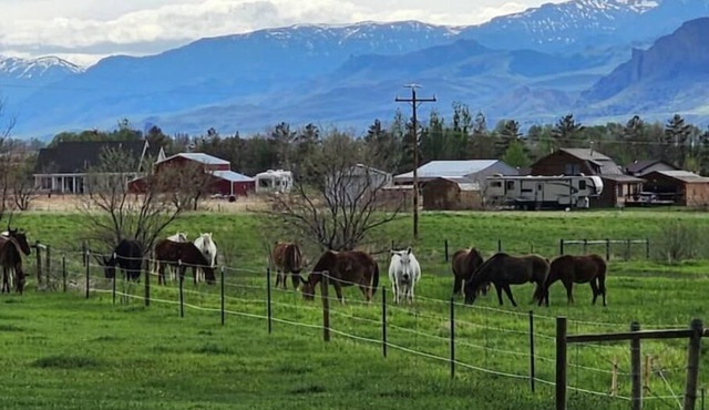 Mountains, horses, stars, views and just out of town.