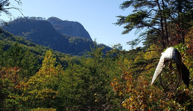 Mountains-Lakes-Parks-Winery-Privacy-SerenitynLeaf Peeping Paradise