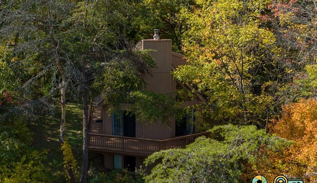 Mountainside Chalet (#119) - Valley & Golf Course views!