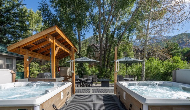 Mountainside Inn 313 1 Bedroom Condo by Alpine Lodging Telluride