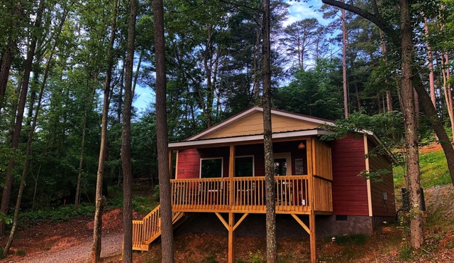 MountainSunrise-Rustic Cabin-20 mins-Asheville