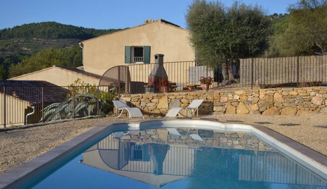 Mourvèdre - LA Cadiere D'azur