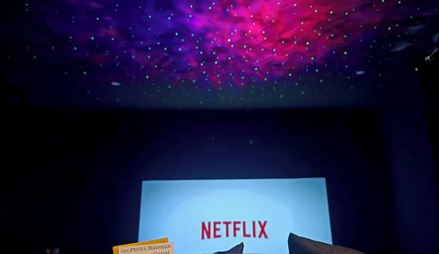 Movie Room - Narbonne Center - King size - Air conditioning