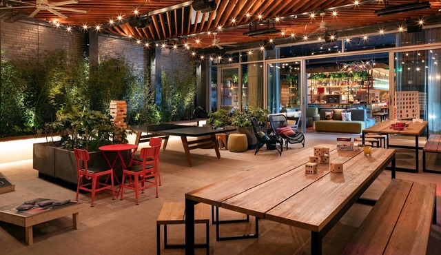 Moxy Austin - University