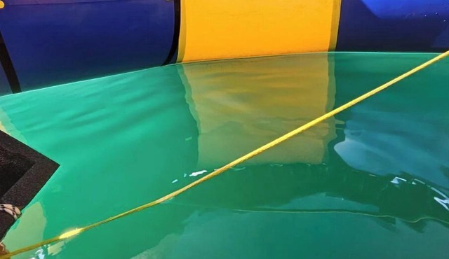 Mozie Park - Your fun romantic destination