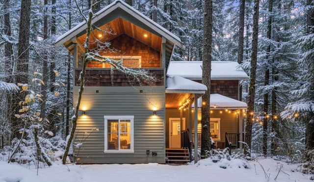 Mt Baker Ski Base: Fast Wi-Fi & Comfy Living Areas