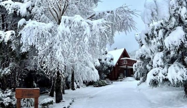 Mt Lyford | Couples Retreat | Totara Lodge - ML7564, Totara Lodge | Couples Retreat | Snow