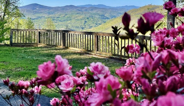 Mt Mitchell View Cabin