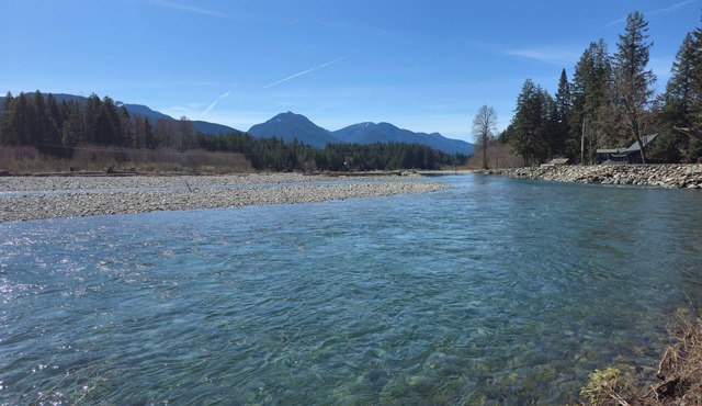 Mt Rainier Riverfront Tiny Home in Packwood - White Pass Basecamp - AC - EV Plug
