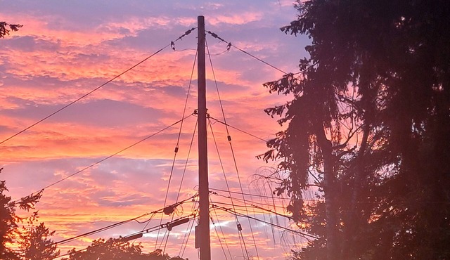 Mt. Rainier Views and Natural Light . are our Guest's Delight!