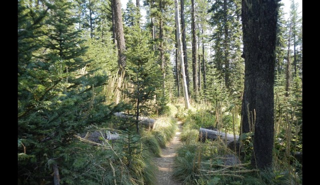 MT. SPOKANE CONDO~W POOL, HOT TUB, WIFI BALCONY & AC~UPDATED STUDIO SLEEPS 4