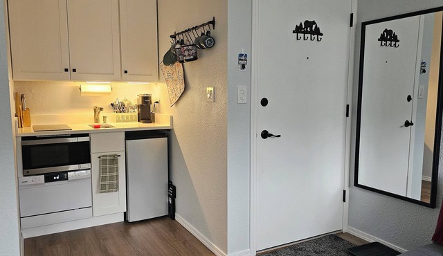 Mt Spokane ski condo