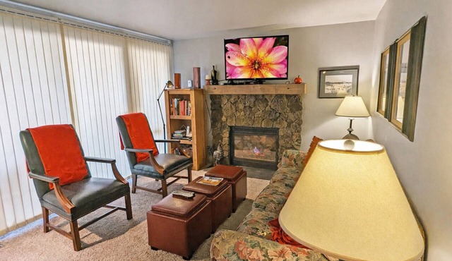 Mt View Lodge 36 - SHARC, Pet Friendly, Fireplace, Views!