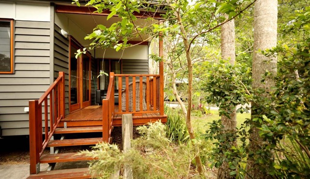 Mt Warning Rainforest Park