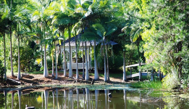 Mt Warning Rainforest Retreat