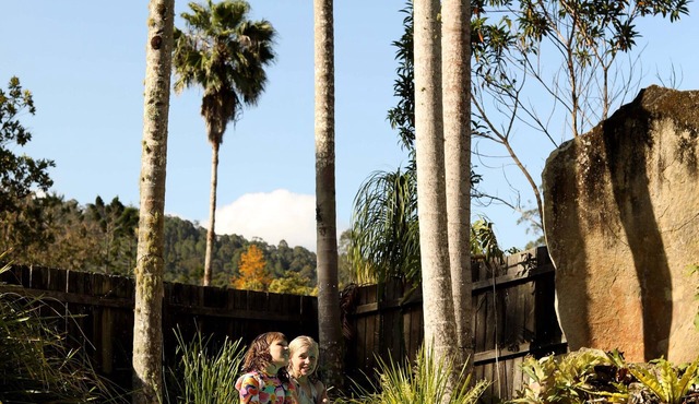 Mt Warning Rainforest Park