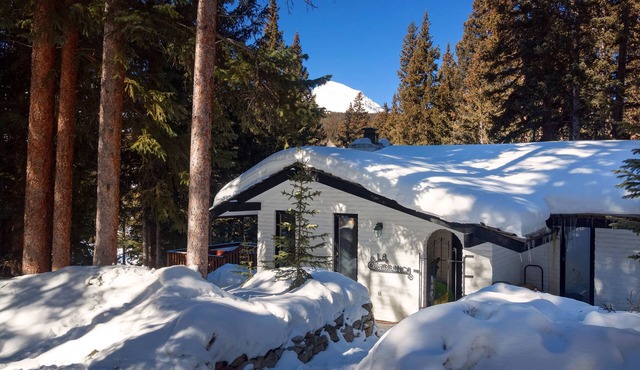 Mtn Getaway with VIEWS, PRIVATE HOT TUB & POSH Decor!