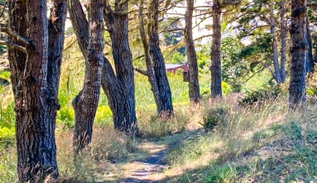 Mtn-view dog-friendly home with private hot tub, fireplace, patio, & grill