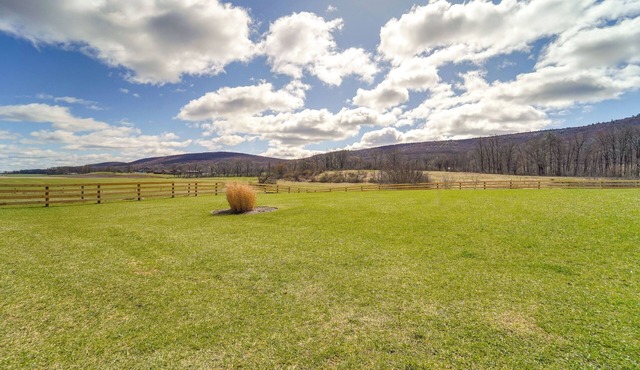 Mtn-View Studio: 18 Mi to Penn State!