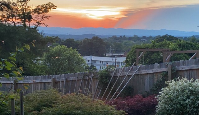 MTN VIEWS/1 Min to Downtown Asheville/Peaceful