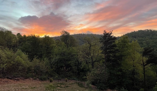 Mtn Views⛰️Dog Friendly🐕 2 King Beds ☕Coffee/Tea Bar 🔥Fire Pit