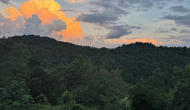 Mtn Views⛰️Pool 💦Dog Friendly🐕 2 King Beds ☕Coffee/Tea Bar