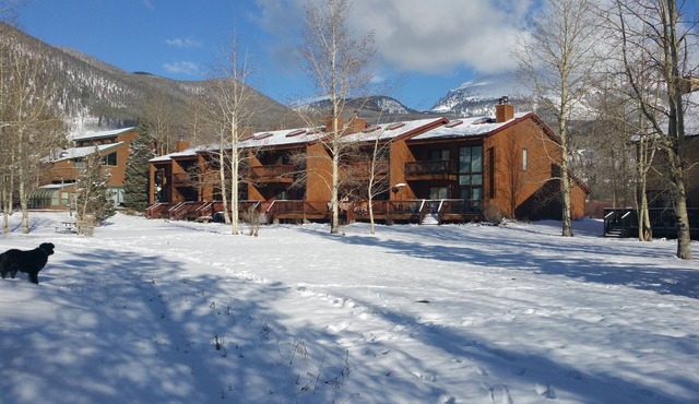 Mtn views. Walk to ski bus, fishing pond, ice rink, brewpub, and whole foods