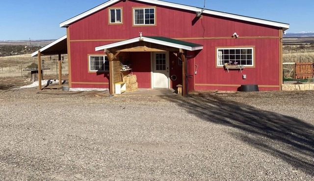 Muddy Paws Ranch - a one of a kind VERY pet friendly ranch with amazing views!