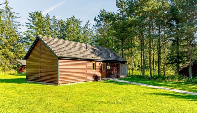 Muirloch Spa Plus (Pet), Dundee