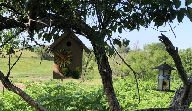 Mulberry Cottage Farm-Stay. A unique farm-stay in Southern Iowa