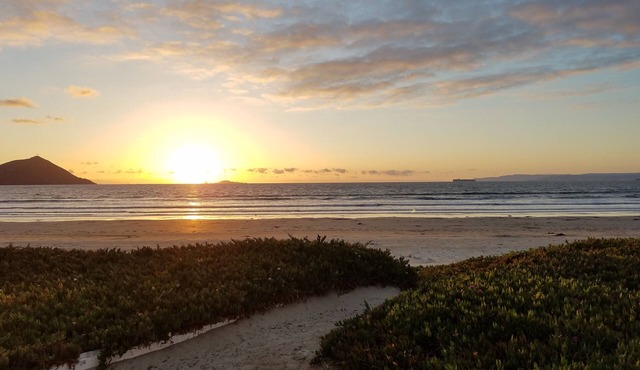 Multi Family Beach House w Guest House-Toys&WiFi (Casa Kennedy)