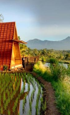 Muni's Terrace Bungalow