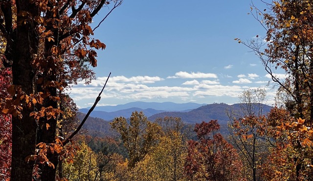🪵 Murphy Cabin 🏔 Mountain View/2Bed-2Bath/6 guests/10mins to town