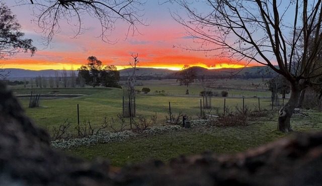 Murra Murra Homestead