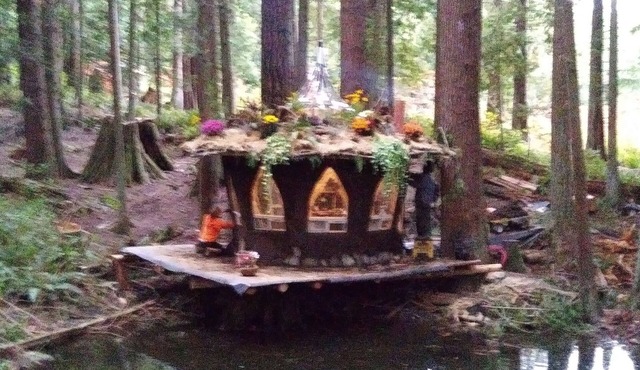 Mush Room at SunRay Shire