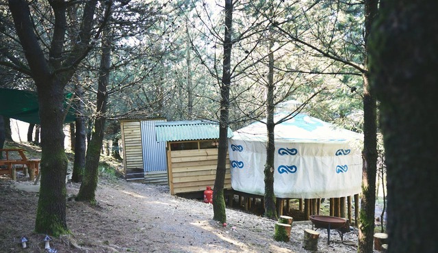 Mushroom Yurt set in 4 acres of woodland and lakes
