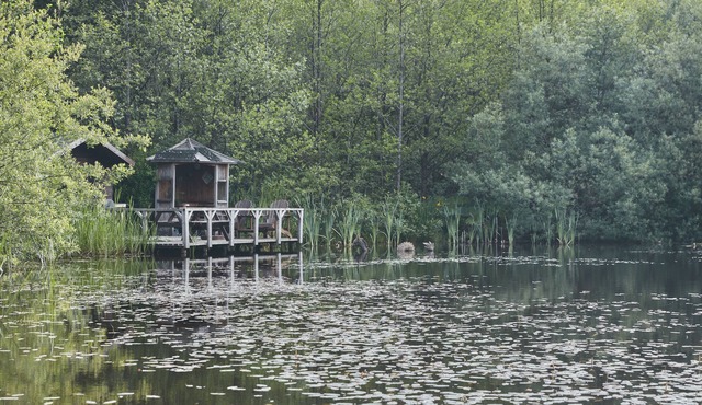 Mushroom Yurt set in 4 Acres of Woodland and Lakes