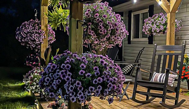 Musician's East Coast Bungalow - 10 mins to Downtown