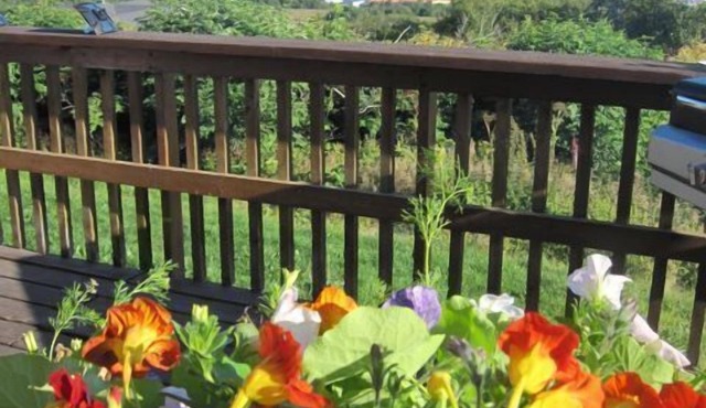 Musician's Paradise With Spectacular Views