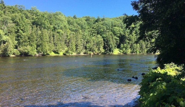 Muskegon River Front Cabin
