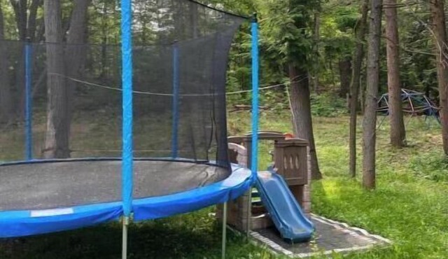 Muskoka Gem on 5 Acres of Enchanted Forest w/Panoramic Sauna!