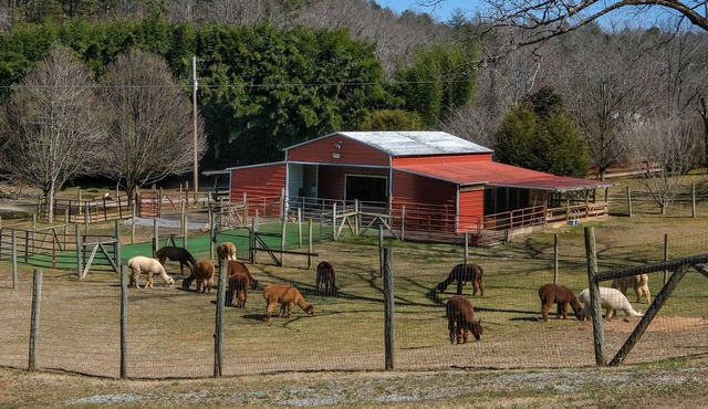 *MUST SEE* Cobb Creek Cabins at the Historic Cobb Family Estate