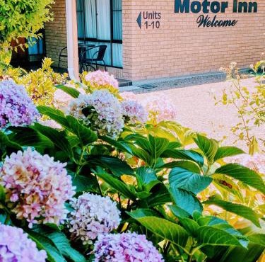 Muswellbrook Motor Inn