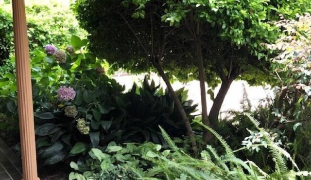 Muswellbrook Motor Inn