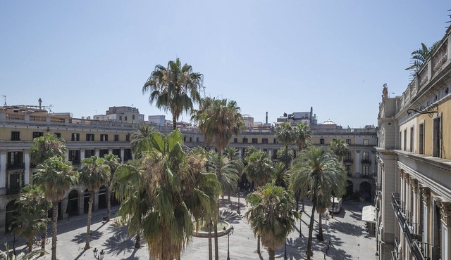 My Address in Plaza Real