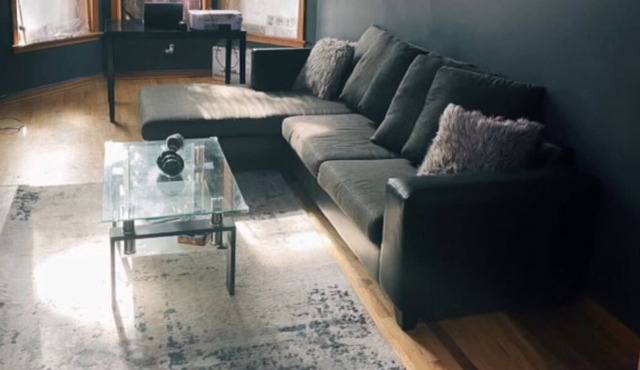 My bronzeville Condo t(8Mins from downtown!)