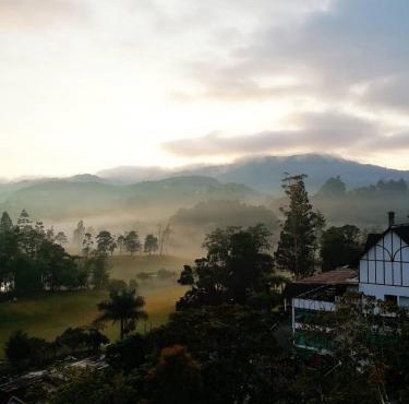 My Home Apartment - Villa Dahlia Apartment