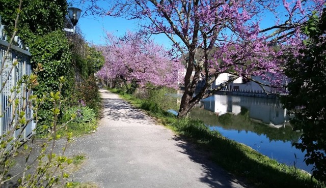 My house by the water