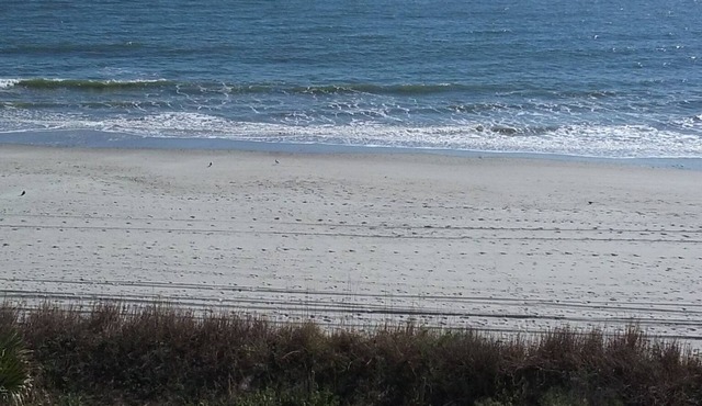 Myrtle Beach Oceanfront Condo. Spring Breakn open nights from 99 a night,